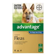 Advantage For Extra Large Dogs Over 25kg (Blue) 4 Doses Pet Talk