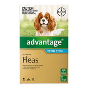 Advantage For Medium Dogs 4 To 10kg (Aqua) 4 Doses Pet Talk
