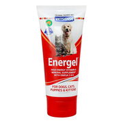Vetsense Energel Vitamin & Mineral Supplement For Dogs And Cats For Dogs And Cats 200 Gm 1 Pack