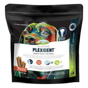 Plexident Dental Chews For Dogs  7 Pack