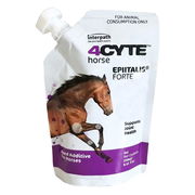 4cyte Equine Epiitalis Forte Joint Support Gel For Horses  250 Ml Pet Talk