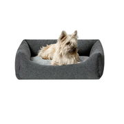 Snooza Low Front Lounger For Dogs Grey 1 X Medium/Large Pet Talk