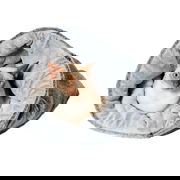 Snooza The Cat Bed Chinchilla 1 Os Pet Talk