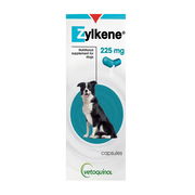 Zylkene Nutritional Supplement For Dogs 225 Mg 30 Capsules Pet Talk
