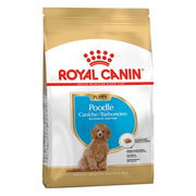 Royal Canin Poodle Puppy Junior Dry Dog Food  500 Gm