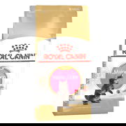 Royal Canin Maine Coon Kitten Dry Cat Food  2 Kg