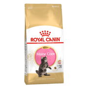 Royal Canin Maine Coon Kitten Dry Cat Food  400 Gm