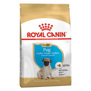 Royal Canin Pug Puppy Dry Dog Food  500 Gm