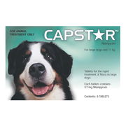 Capstar For Large Dogs Over 11kg (Green) 6 Tablet