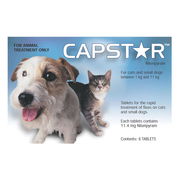Capstar Flea Control Tablets For Cats And Small Dogs 0.5kg To 11kg 6 Tablets