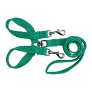 Beau Pets Double Nylon - Brace Lead - Green 20 Mm X 135cm