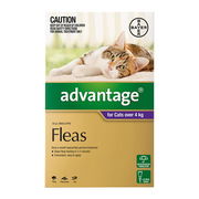 Advantage For Cats Over 4kg (Purple) 4 Doses