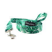 Dan & Sam Polyester Webbing Lead For Dogs - Lahana 2.5 X 150cm - Large