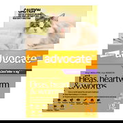 Advocate For Cats Over 4kg (Purple) 6 Doses