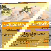 Advocate For Cats Over 4kg (Purple) 12 Doses