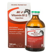 Ceva Vitamin B12 Supplement For Horses And Dogs  100 Ml Pet Talk