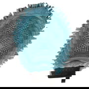 Dgs Dirty Dog Grooming Mitt Pacific Blue 1 Pack