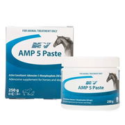 Ceva Nv Amp 5 Paste Supplement For Horses And Dogs  250 Gm Pet Talk