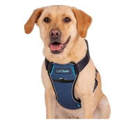 Carsafe Crash Tested Harness For Dogs Blue Large 1 Piece