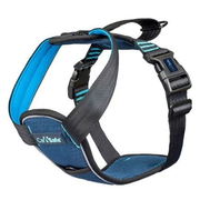Carsafe Crash Tested Harness For Dogs Blue X-Small 1 Piece