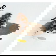 Purroom Scratcher Board Large  1 Pack