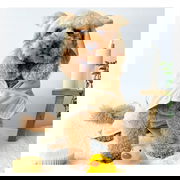 Cocopup London Teddy Drying Robe For Dogs  1 X Xsmall