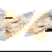 Cocopup London Bow Tie For Dogs Mocha Flower 1 Piece