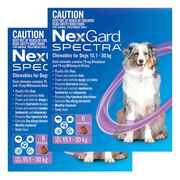 Nexgard Spectra Large Dogs (15.1 - 30kg) Purple 12 Pack