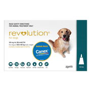 Revolution (Selamectin) For Large Dogs 20.1 To 40kg (Green) 6 Pack