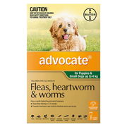 Advocate For Dogs Up To 4 Kg (Small Dogs/Pups) Green 3 Doses Pet Talk
