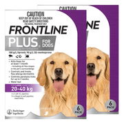 Frontline Plus For Large Dogs 20 To 40 Kg (Purple) 12 Pipettes